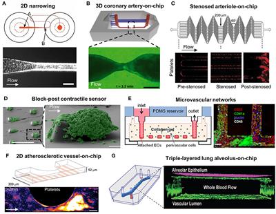 Emerging Microfluidic Approaches for Platelet Mechanobiology and Interplay With Circulatory Systems